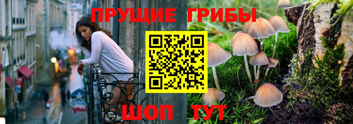 Галлюциногенные грибы Psilocybine cubensis  Вход с VPN  Великий Новгород 