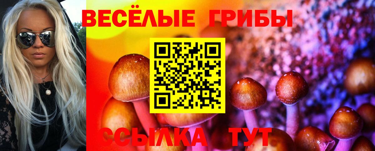 Галлюциногенные грибы мицелий Великий Новгород
